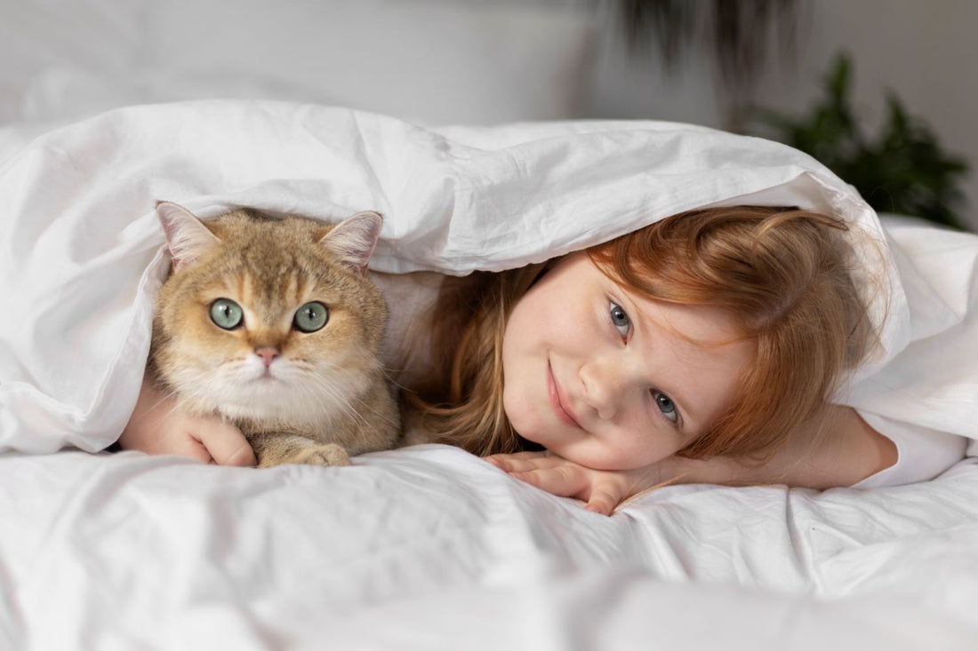 Cadeaux Pour Amoureux des Chats