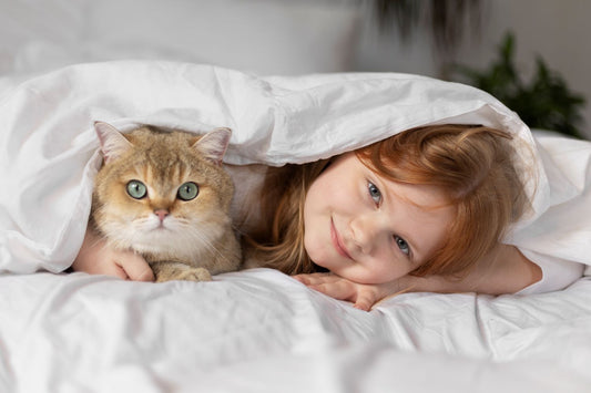 Cadeaux Pour Amoureux des Chats