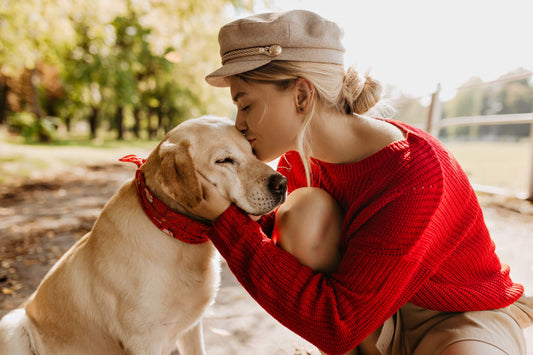 Les Meilleures Idées Cadeaux pour Amoureux des Chiens
